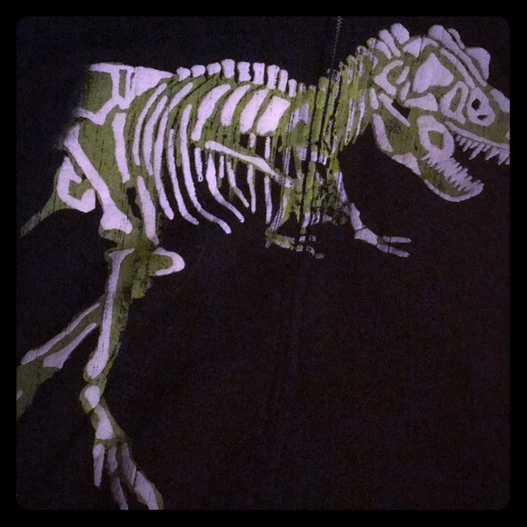 🦖T Rex Sweatshirt 2XL hooded zip Boys Dino fan🦖 - Picture 2 of 4